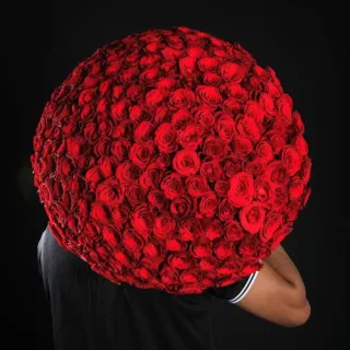 Beautiful round bouquet featuring 250 red roses held by a man.