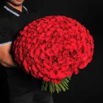 250 Red Roses 2 0020__36a3847.jpg
