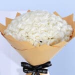 White Rose - Polar Star 4 04