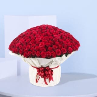 Bouquet of 500 Red Roses