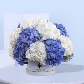 Luxurious hydrangea bouquet with blue and white blooms in a round box