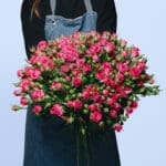 Say It With Pink Spray Roses Bouquet 1 Say It With Pink Spray Roses Bouquet