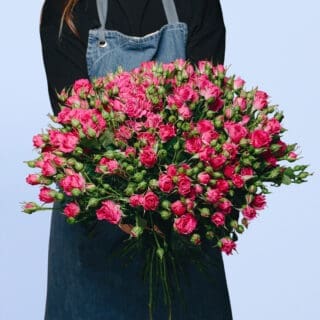 A person holding a large bouquet of pink miniature roses