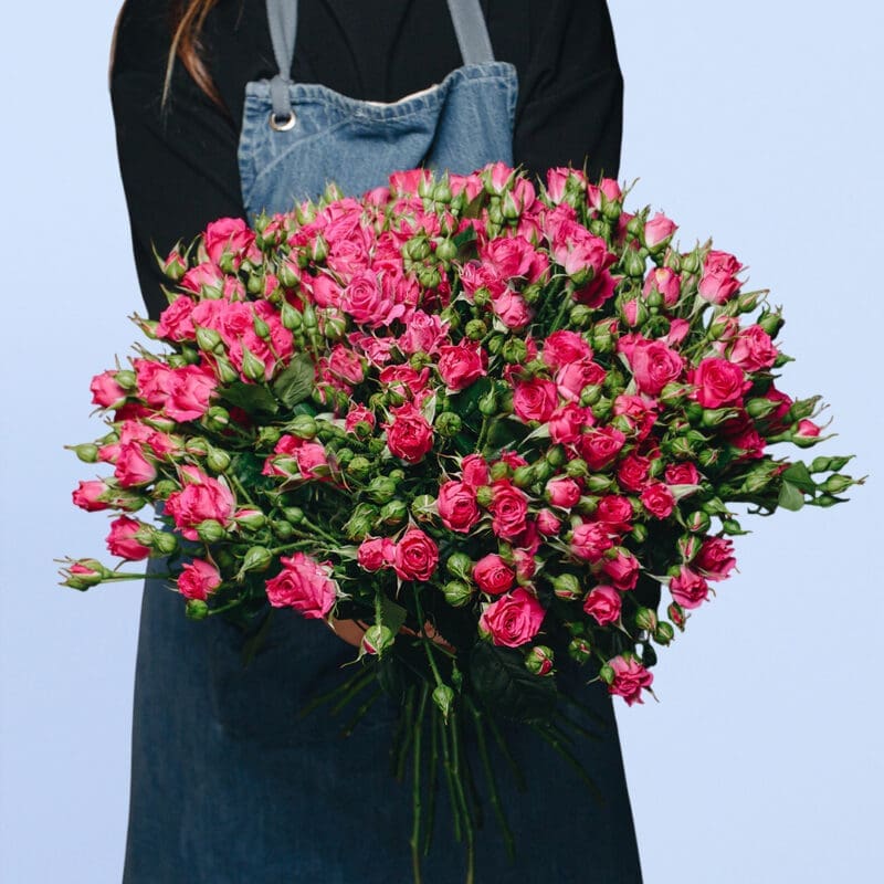 Say It With Pink Spray Roses Bouquet A person holding a large bouquet of pink miniature roses