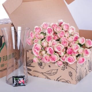 10 stems Dinara Pink spray roses in a carton box, accompanied by a glass vase and flower food.
