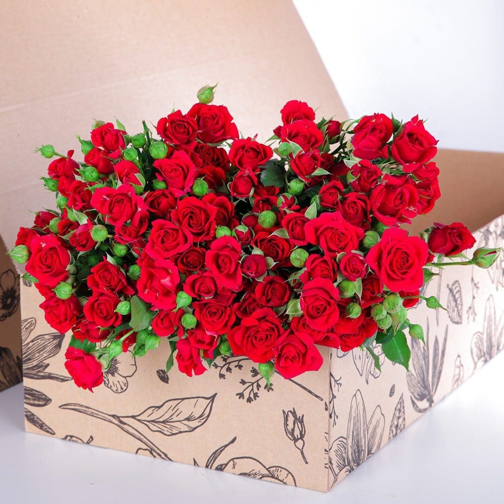 Spray Roses Mirabel (1) Spray Roses Mirabel