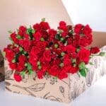 Spray Roses Mirabel with vase 2 Spray Roses Mirabel (1)