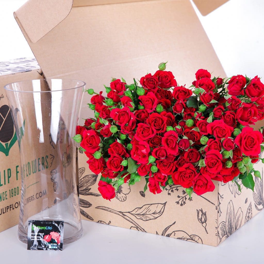 Spray Roses Mirabel (3) Lovely bunch of red spray roses Mirabel with glass vase, complete with flower food.