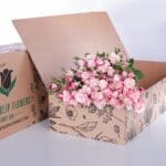 Spray Roses Reflex (1)