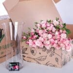 Spray Roses Reflex (3)