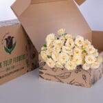 Spray Roses Salinero with vase 3 Spray Roses Salinero with vase (1)