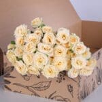 Spray Roses Salinero with vase 2 Spray Roses Salinero with vase (2)