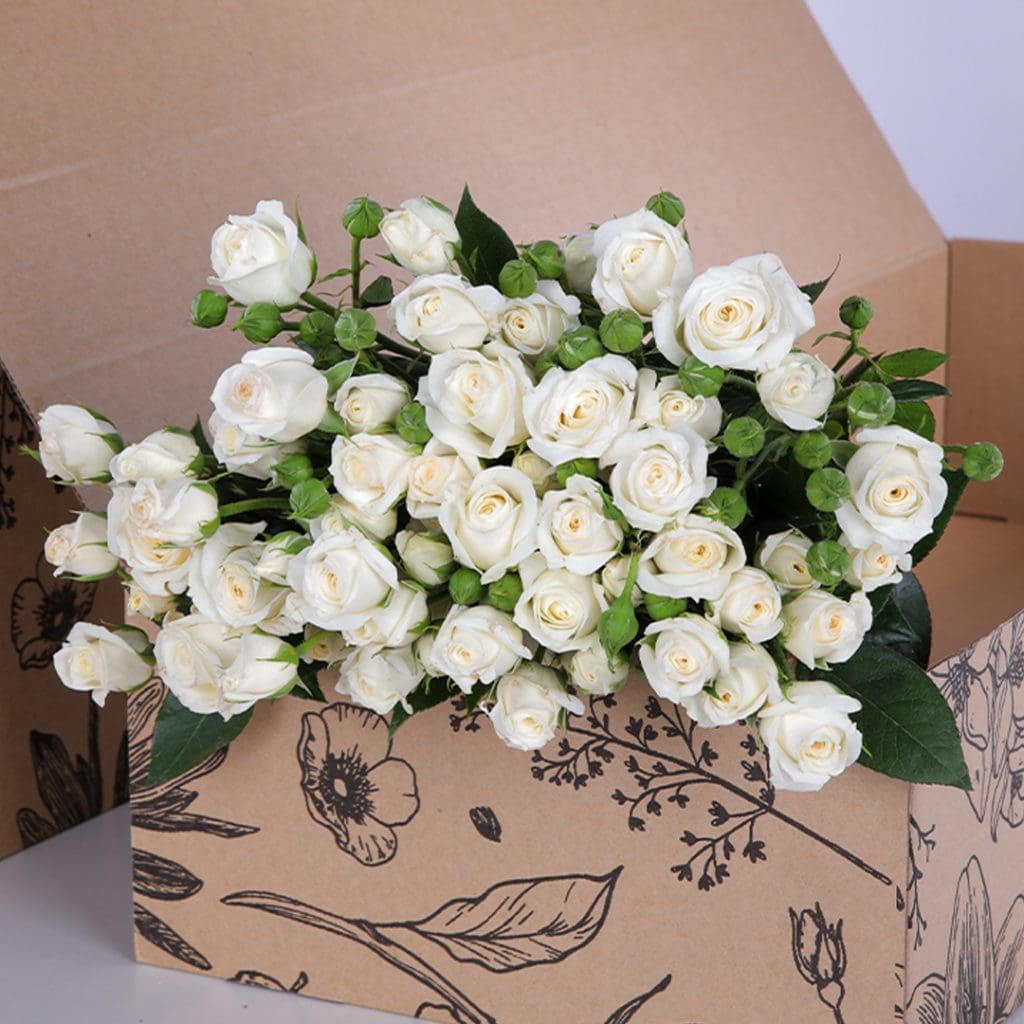 Spray Roses Snowflake with vase (1) Spray Roses Snowflake with vase