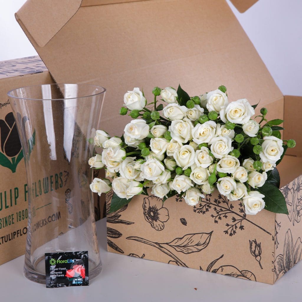 Spray Roses Snowflake with vase (2) Spray Roses 10 Stems – 40-50cm tall with flower food and a glass vase for a beautiful floral arrangement.