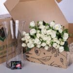 Spray Roses Snowflake with vase 1 Spray Roses Snowflake with vase (2)