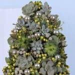 Succulents-In-A-Box-02-25