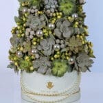 Succulents-In-A-Box-03-25