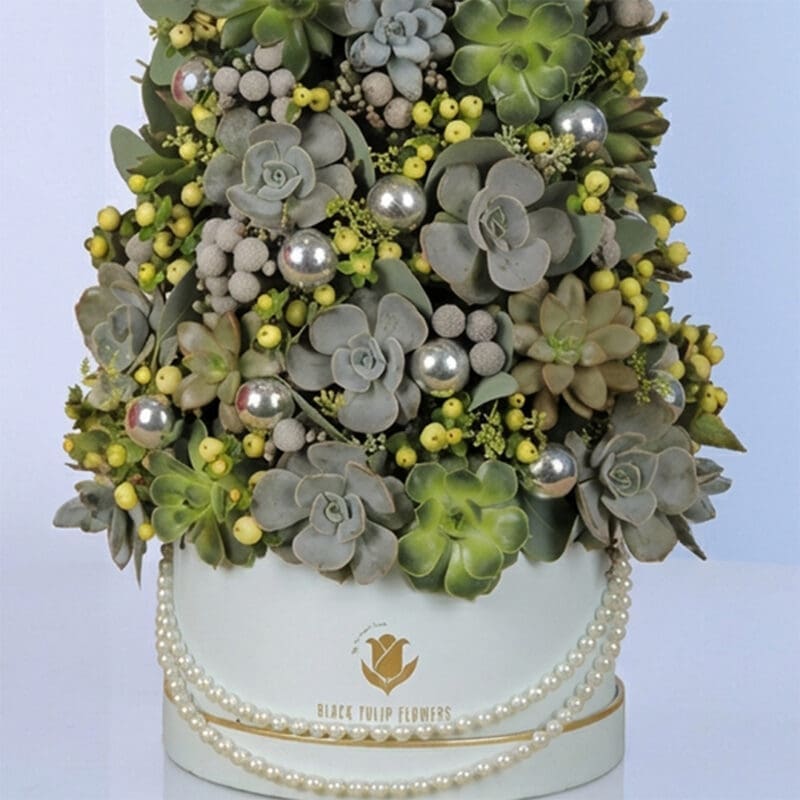 Succulents In A Box 03 25