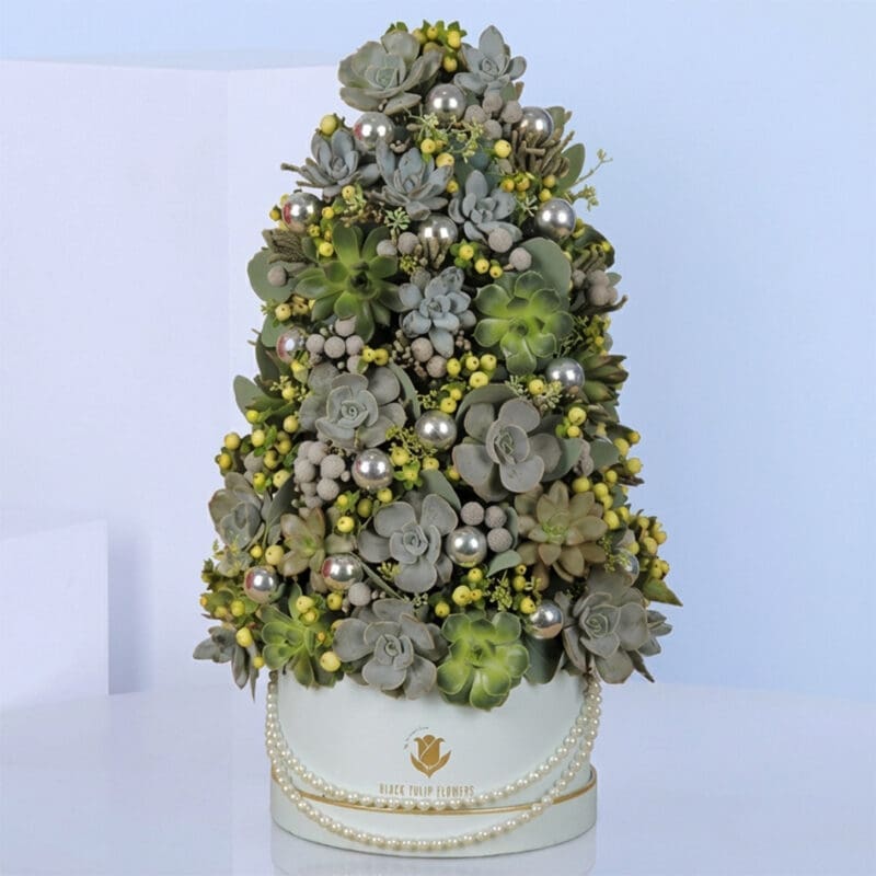 A white box containing a small Christmas tree, designed as a festive mini succulent arrangement.