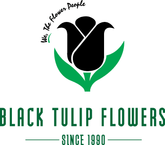 Black Tulip Flowers