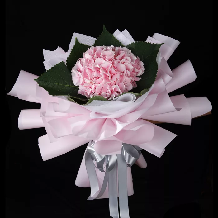 pink_hydrangeas.jpg pink hydrangeas jpg