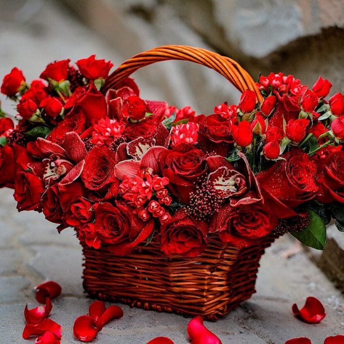 red_ambiance.png red ambiance