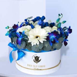 Sincere Blue Surprise Box