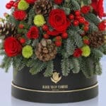 Mini Luscious Tree in a Box 4 04