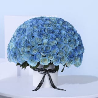 200 Luxury Blue Roses