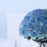200 Luxury Blue Roses 3 2 (70)