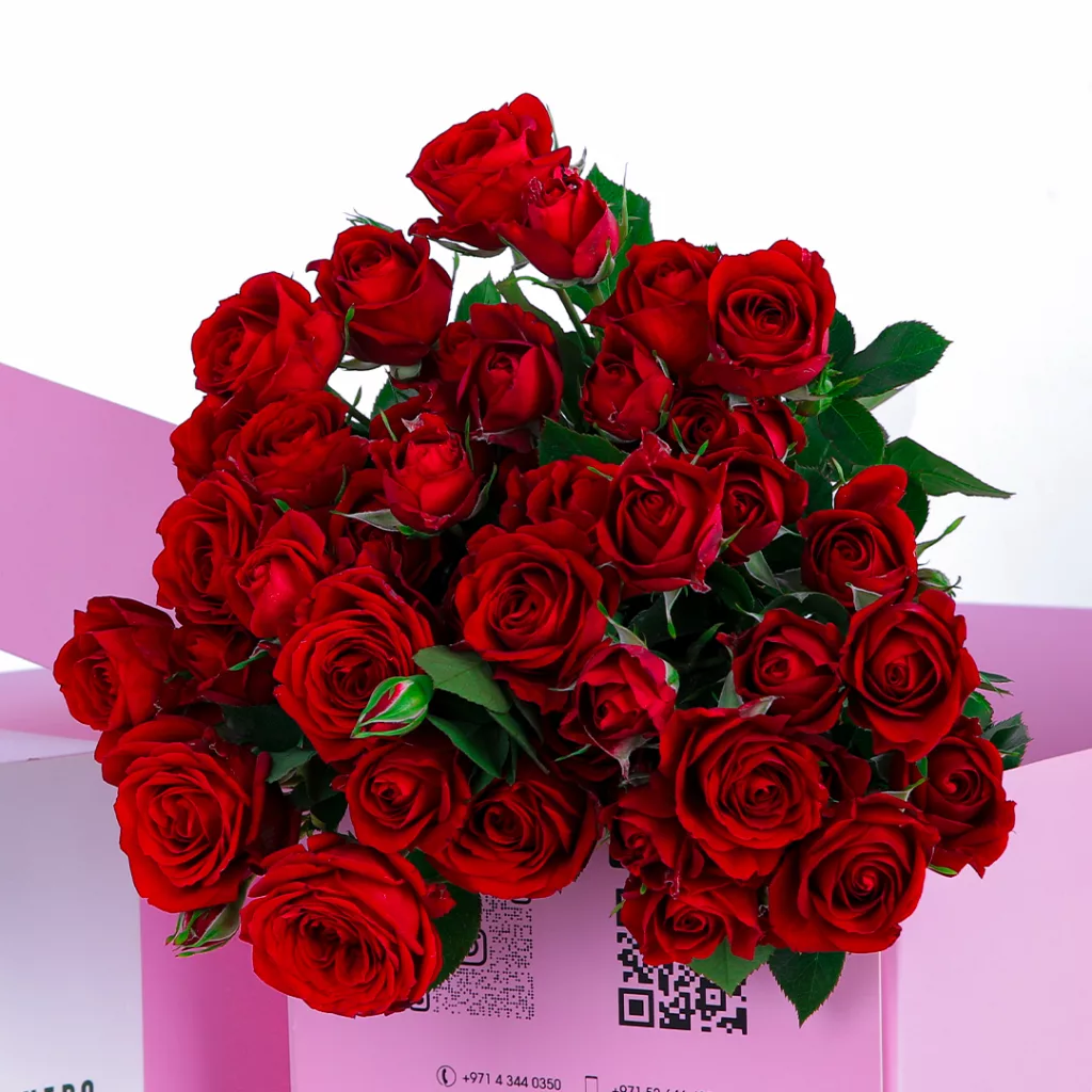 Spray Rose Red