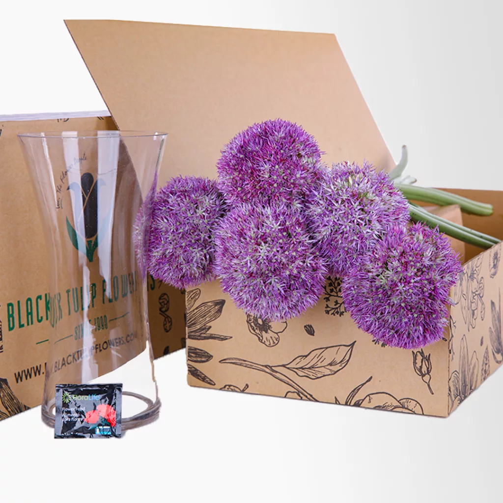 Allium Purple A cardboard box containing a bunch of Allium Purple flowers, with a glass vase placed next to it.