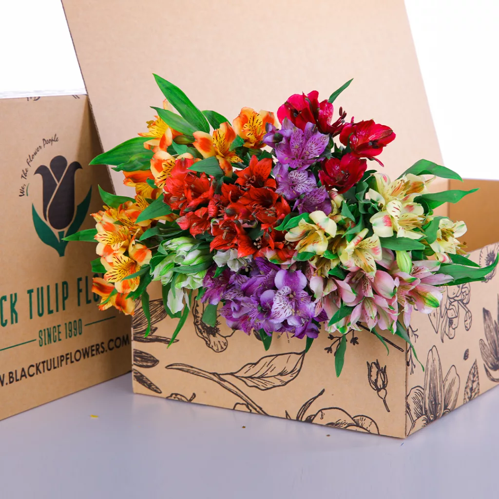 Alstroemeria Mix A bunch of colourful mix of Alstroemeria blooms in a brown box to create your own stunning arrangements.