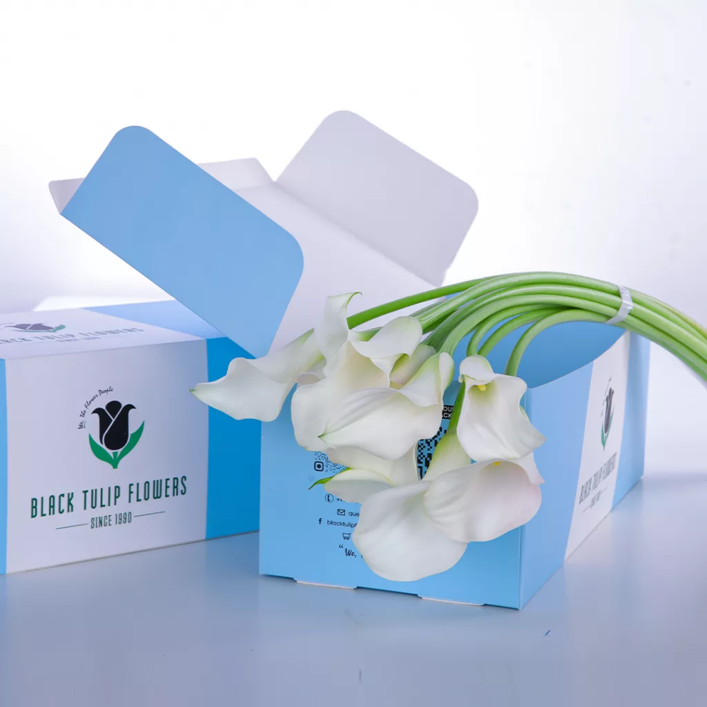 Callalily White (1) A cardboard box containing Calla lily White flowers, showcasing their elegant white petals and lush green stems.