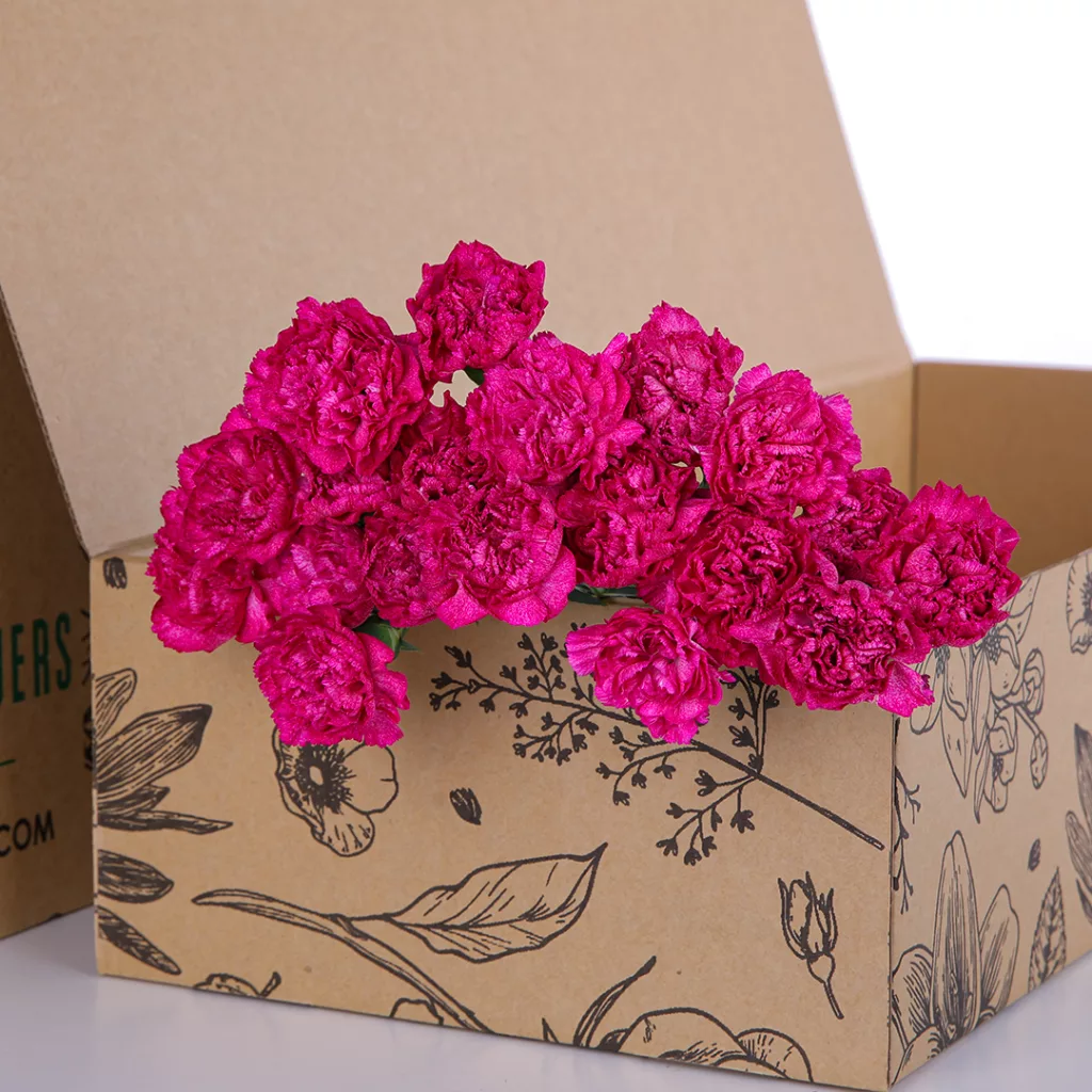 Carnation Single Dark Pink 01 Carnation Single Dark Pink