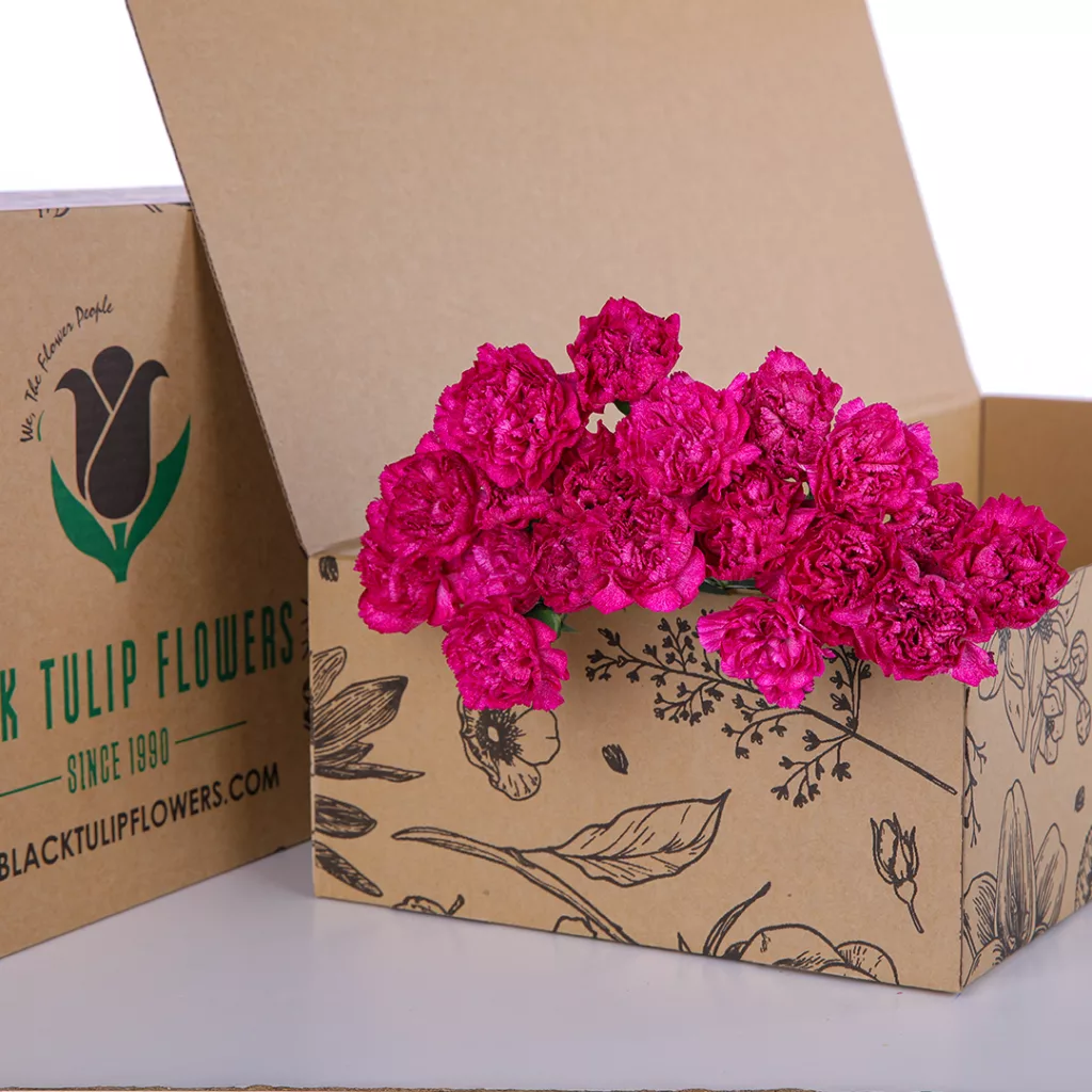 Carnation Single Dark Pink A cardboard box containing Carnation flowers in a single dark pink hue, elegantly arranged for display.