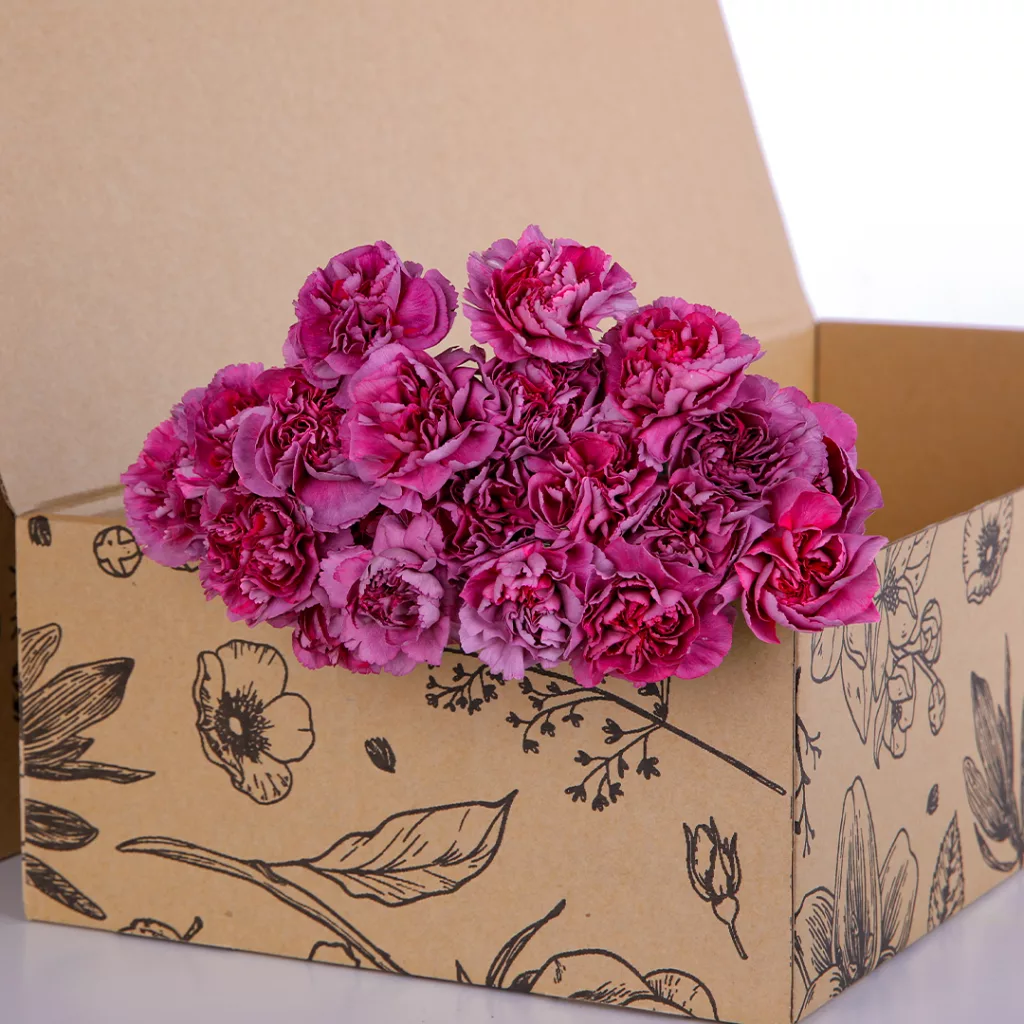 Carnation Single Dark Purple Carnation Single Dark Purple