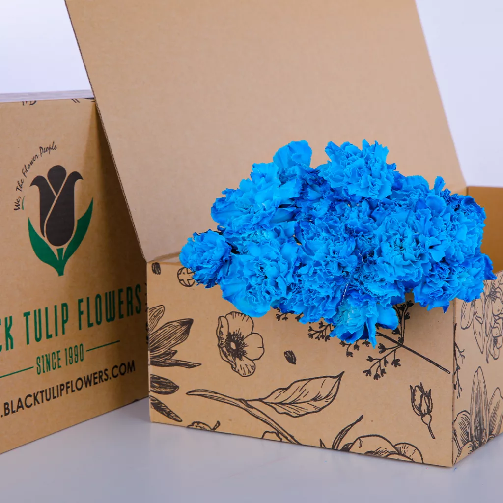 Carnation Single Dyed Light Blue A cardboard box filled with Carnation Single Dyed Light Blue flowers, highlighting their soft colour and refined appearance.