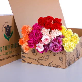 A cardboard box filled with an assortment of mixed-color Carnation flowers, displaying a range of bright and lively shades.