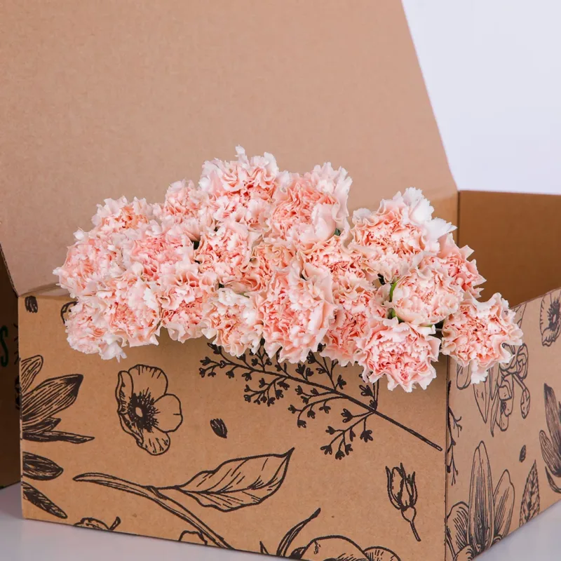 Carnation Single Peach 02 Carnation Single Peach