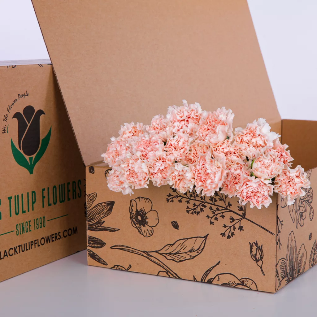 A cardboard box of Carnation Single Peach, featuring a bright peach hue and clear branding on the exterior.