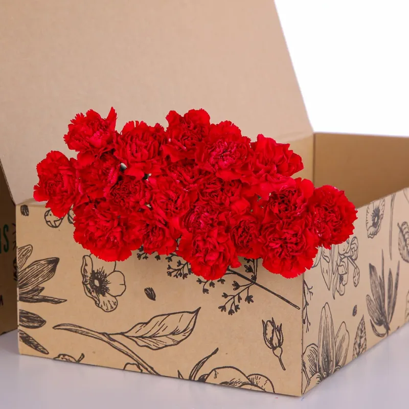 Carnation Single Red 02 Carnation Single Red
