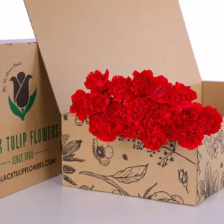 10 stems of red carnations bundled together, including flower food suitable for any arrangement.