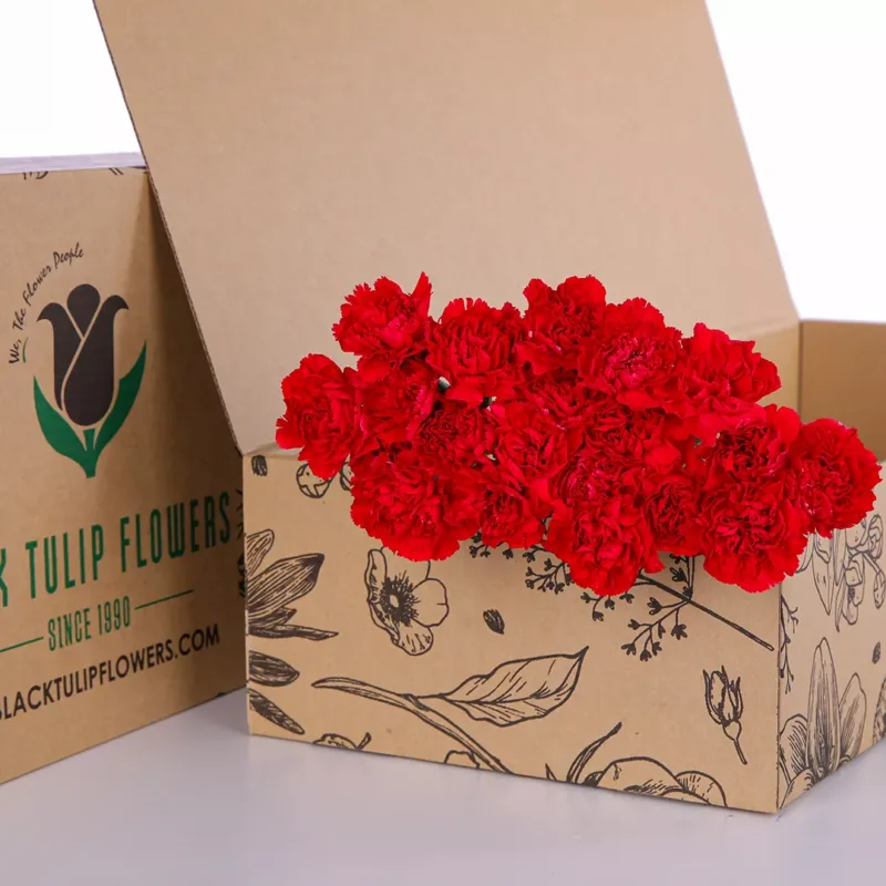 Carnation Single Red 10 stems of red carnations bundled together, including flower food suitable for any arrangement.