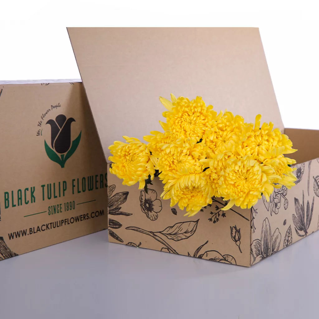 Chrysanthemum Deco Yellow Chrysanthemum Deco Yellow bunch in cardboard box
