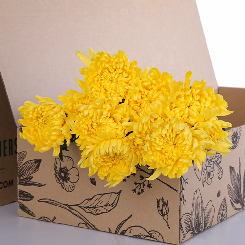 Chrysanthemum Deco Yellow Chrysanthemum Deco Yellow