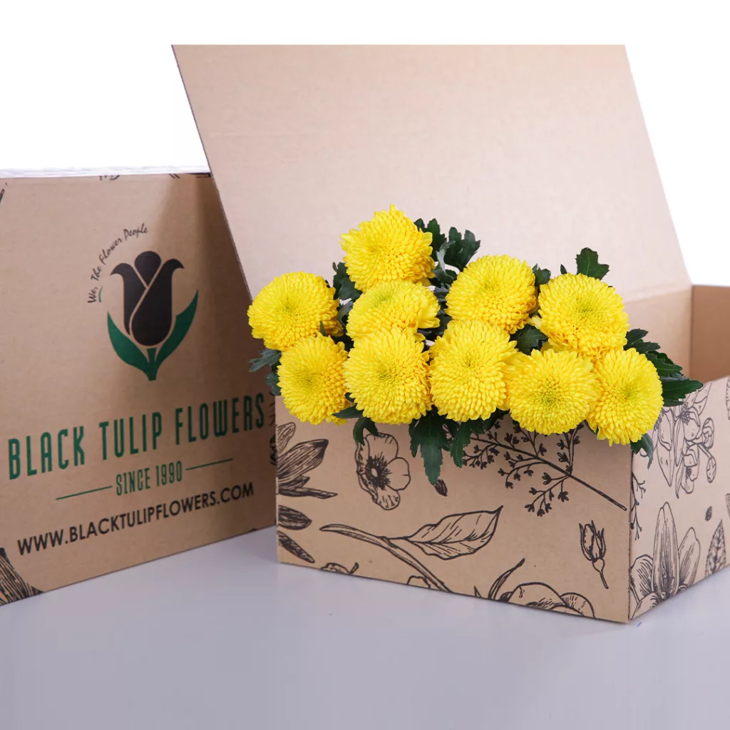 Bunch of chrysanthemum Ping Pong Yellow in a cardboard box