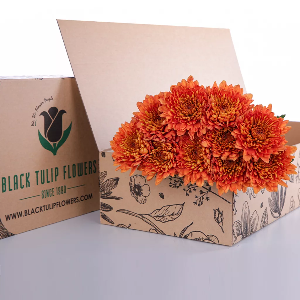 Chrysanthemum Spray Euro - Orange Chrysanthemum Spray Euro - Orange bunches in a cardboard box