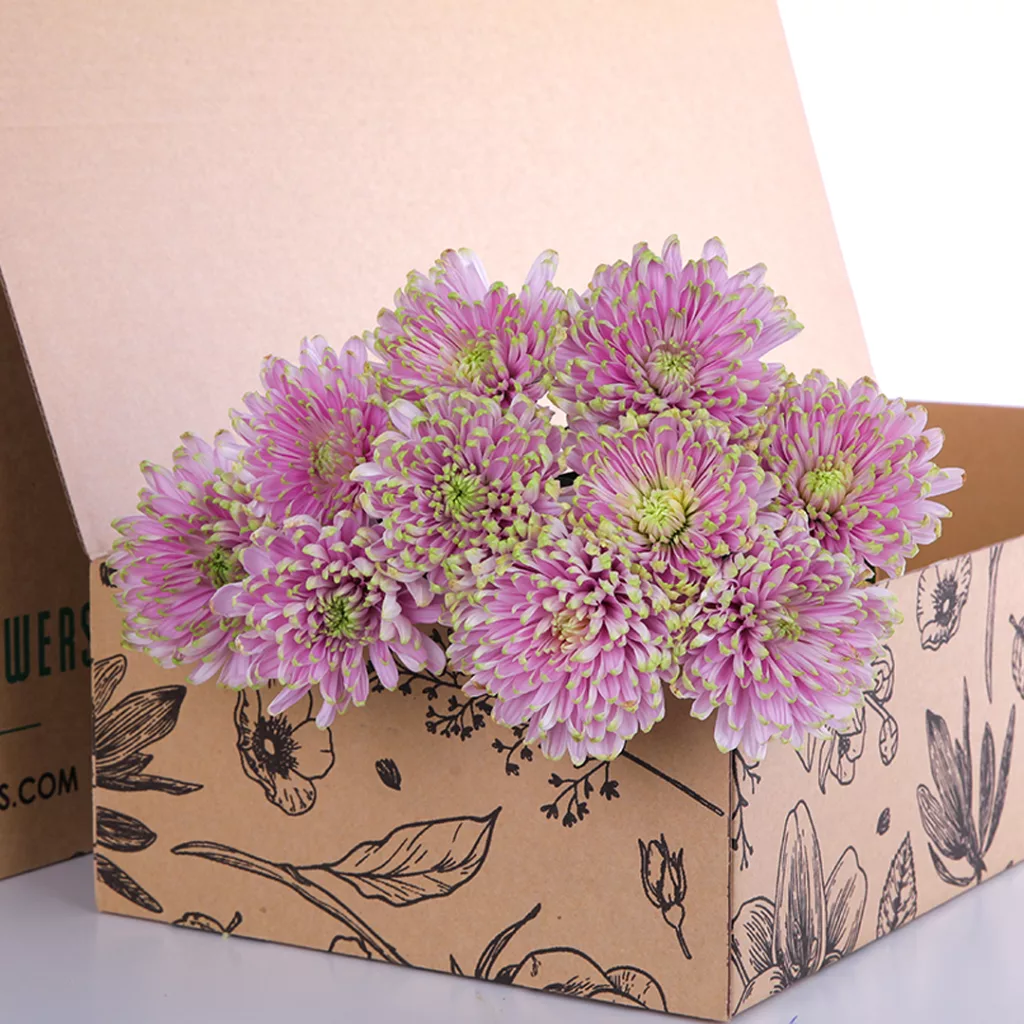 Chrysanthemum Spray Euro - Pink Chrysanthemum Spray Euro - Pink