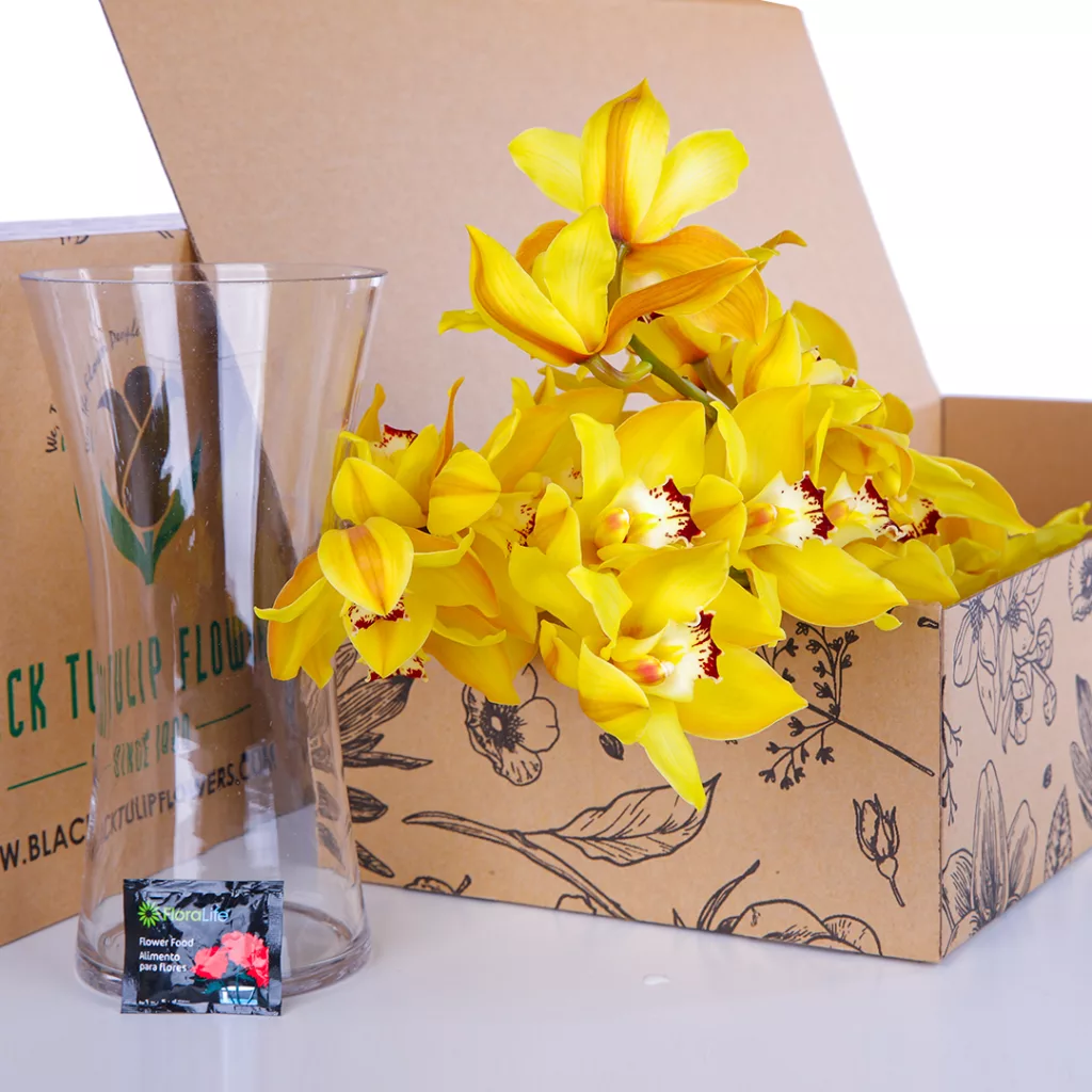 Cymbidium Yellow Bunch of Cymbidium Yellow in a box with a glass jar nearby